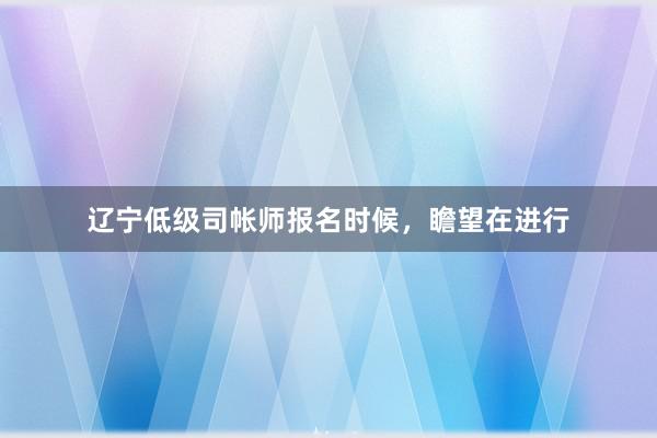 辽宁低级司帐师报名时候，瞻望在进行