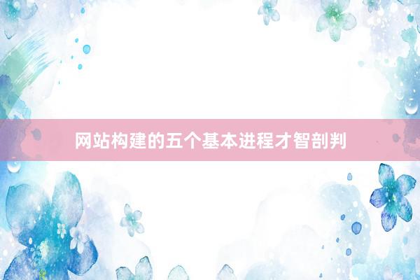 网站构建的五个基本进程才智剖判